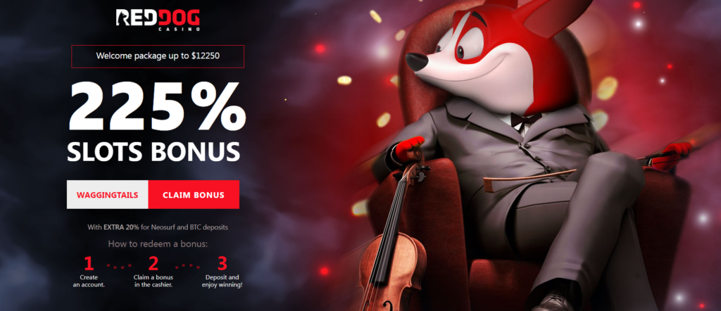 Red Dog Casino Review