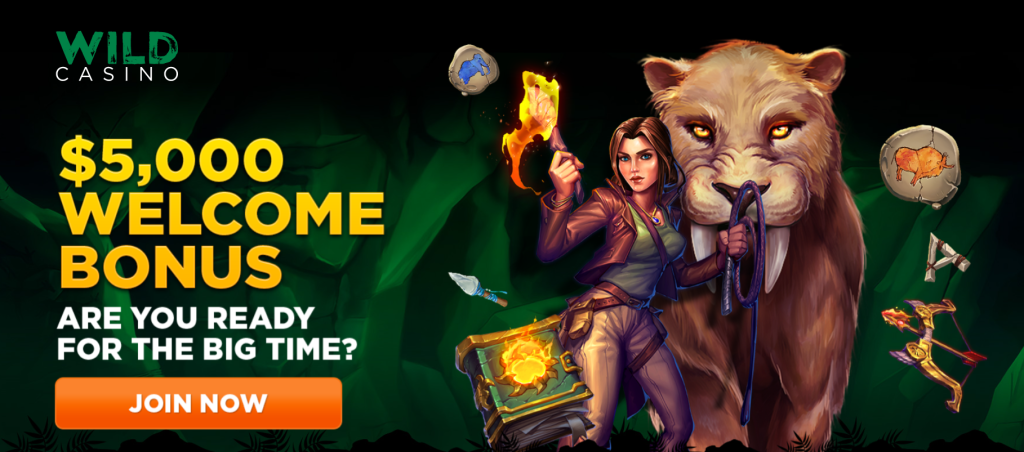 Wild Casino Review
